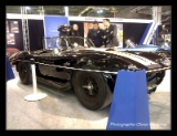 Importateur officiel Shelby-003